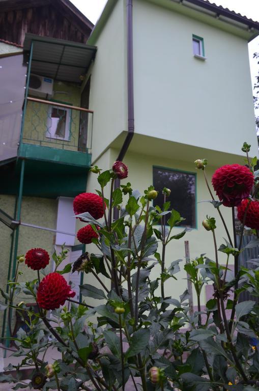 Cottages On Gdantsevskaya Street Kryvy Rih Extérieur photo